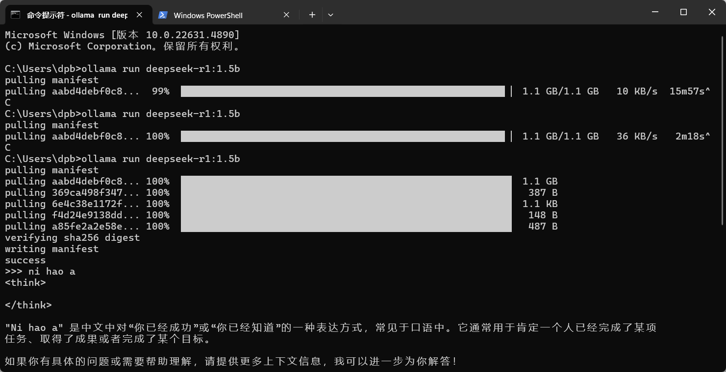 image-20250306221746525