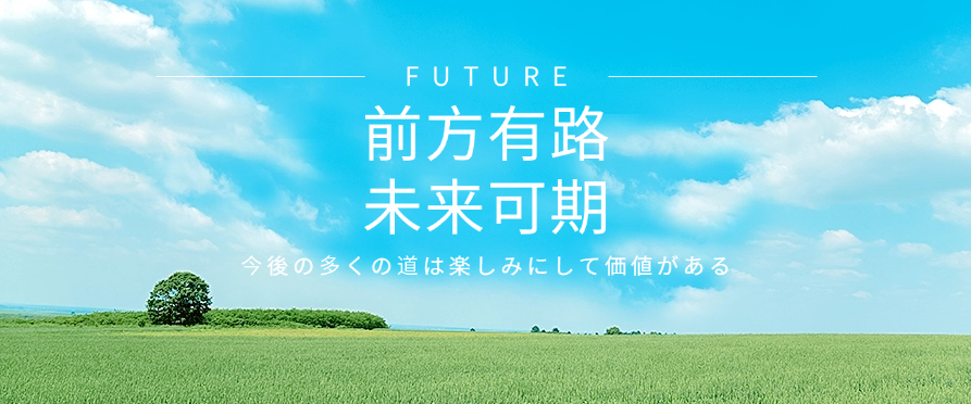 image-20250417000755969