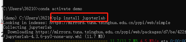 image-20250316222859123